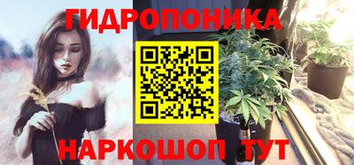 прущие крисы Будённовск